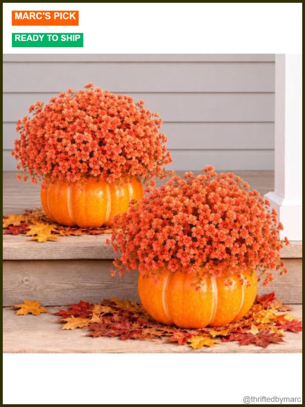 2 Pack Artificial Pumpkin Decor Set with Daisy Flowers for Porch